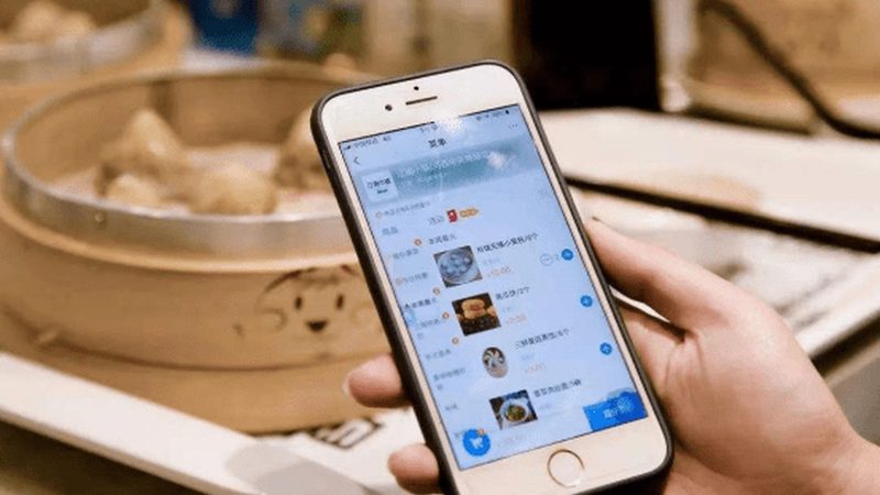 宠物长途搬家应激反应怎么避免